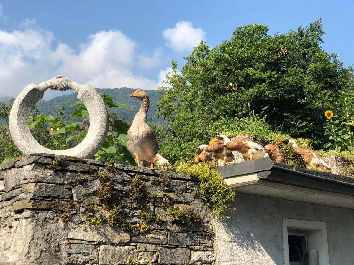 Ostello & Camping Riposo Hotel Losone Exterior foto